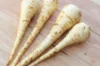 Parsnips - Turga