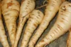 Parsnips - Turga