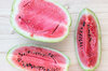 Watermelons - Klondike Blue Ribbon Stripe