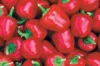 Peppers - Miniature Red Bell