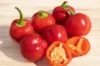 Peppers - Miniature Red Bell