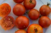 Cherry tomatoes - Copper Currant