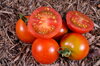Cherry tomatoes - Cherry Delight