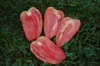 Tomatoes - Mexican