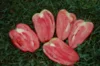 Tomatoes - Mexican