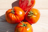 Tomatoes - Schilling Giant Oxheart 