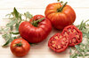 Tomatoes - Sainte Lucie