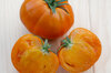 Tomatoes - Tangerine
