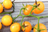 Cherry tomatoes - Esther Hess Yellow