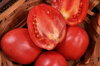 Tomatoes - Grushovka