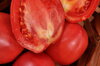 Tomatoes - Grushovka