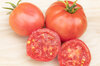 Tomatoes - Clear Pink
