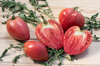 Tomatoes - Oxheart Akers