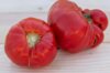 Tomatoes - Giant Belgium