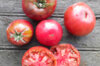 Tomatoes - Crimean Black