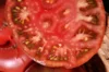 Tomatoes - Crimean Black