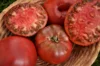 Tomatoes - Crimean Black