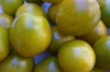 Cherry tomatoes - Green Grape