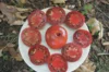 Tomatoes - Black Aisberg