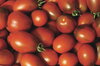 Cherry tomatoes - Brown Cherry