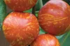 Tomatoes - Red Zebra