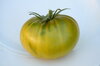 Tomatoes - Tasty Evergreen