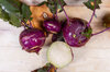 Cabbage turnip - Azur Star