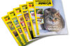 Magazine subscriptions - Subscription to Salamandre Junior magazine Subscriptions Magazine Salamandre Junior 1 year (8-12 years) 6 issues