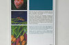 Floor & plant care - Rustica's little treatise on organic vegetable garden care