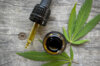 Oils - CBD oil 7% bio 10 ml