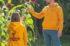 Adult sweatshirts - Mixed sweatshirt, mango size S