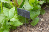 Seedling accessory - 10 rectangular slates 5 x 9 cm with stakes 30 cm