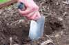 Planting tools - Planting shovel
