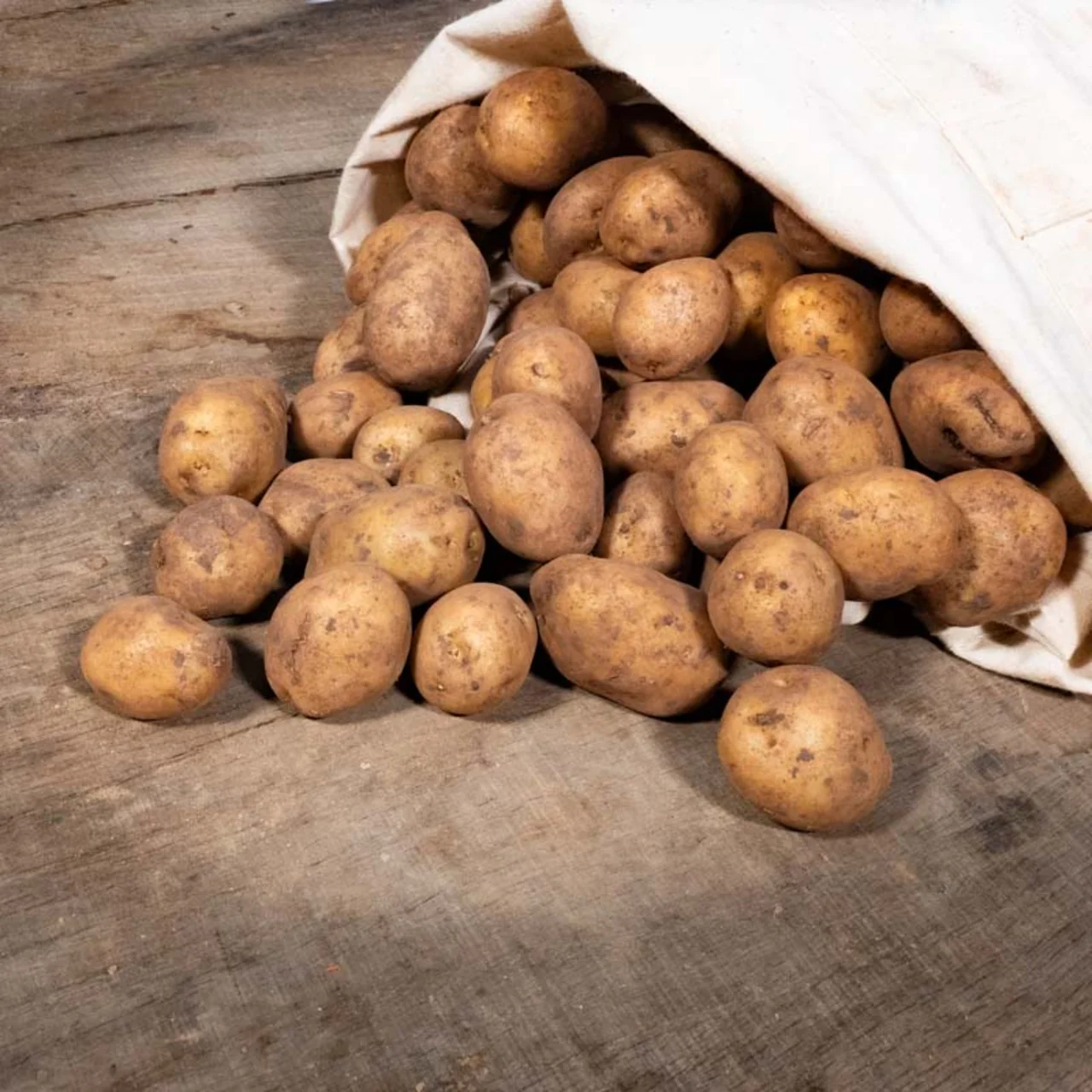 Potatoes Organic Bintje potato size 28/35