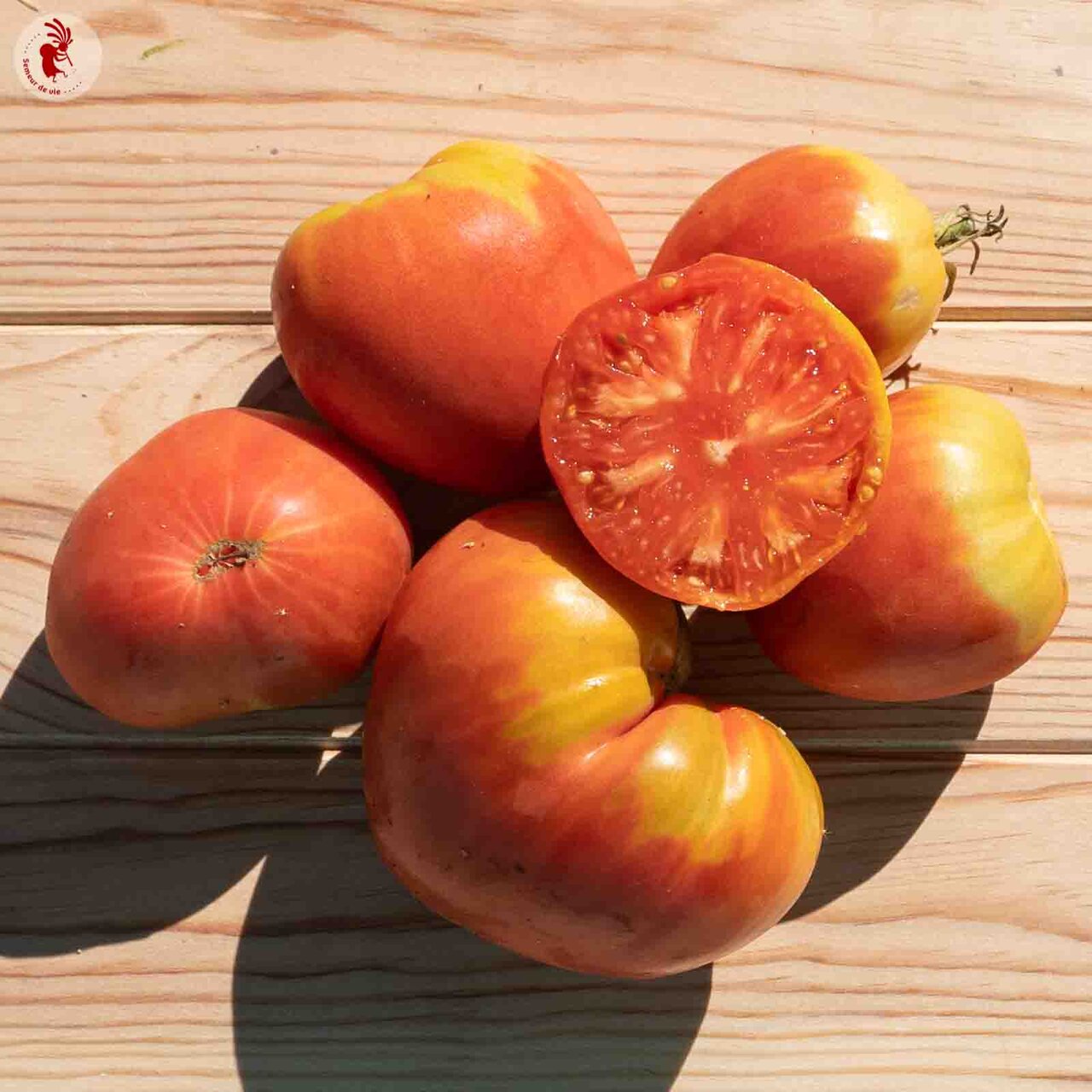 Heirloom Slankard Oxheart Tomatoes Organic Seeds