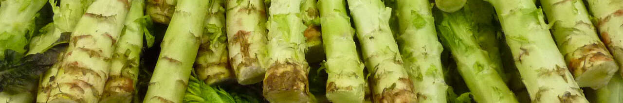 Lettuce Asparagus