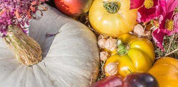 Our catalog of seed varieties