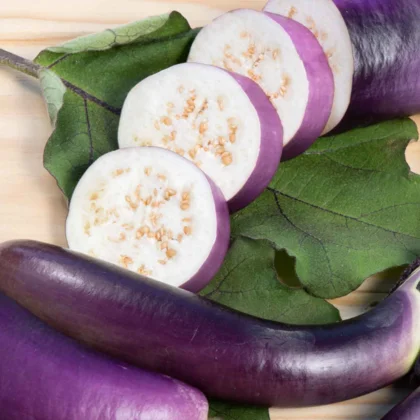 Réussir la culture de l'Aubergine