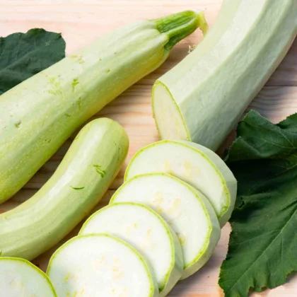 Réussir la culture de la Courgette