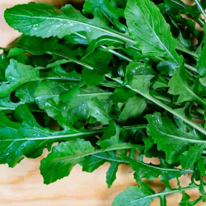 Réussir la culture de la Roquette