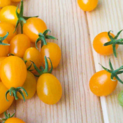 Faut-il tailler les tomates ?