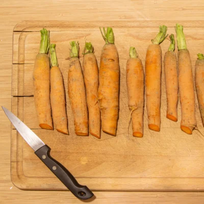 Sélection des carottes stockées