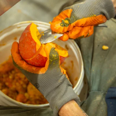 Extraction des graines de courge Red Kuri
