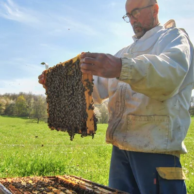 Atelier - Initiation à l’apiculture - 3h
