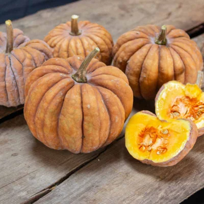 Courge Moschata Chirimen