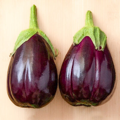 Aubergine Monstrueuse de New York