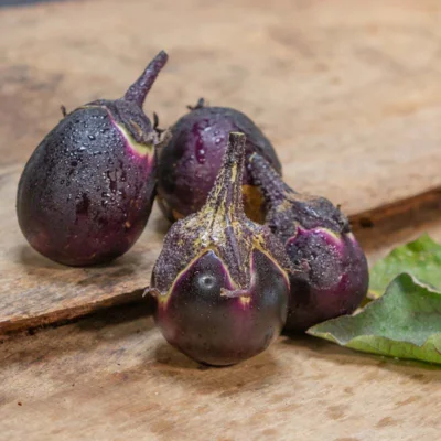 Aubergine Kono