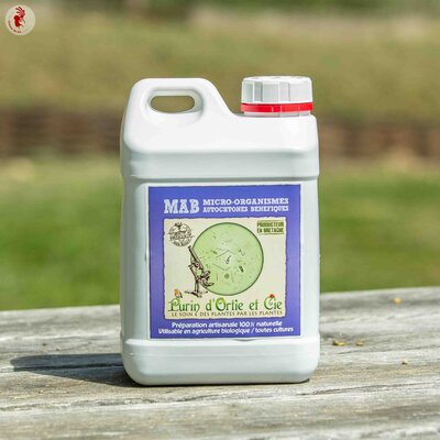 Micro-Organismes Autochtones Bénéfiques