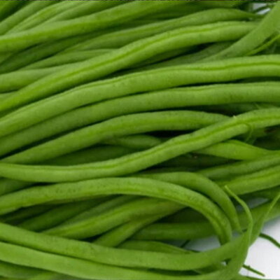 Haricot Mangetout Nain La Victoire