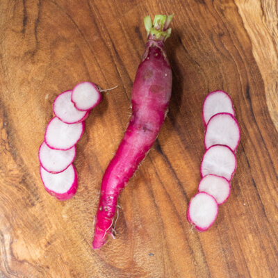 Radis De Tous Les Mois Rave Rose Longue Saumonée